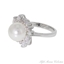 Picture of White Satin