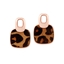 Picture of Leopard Links