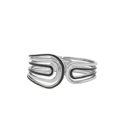 Picture of Chic Curves