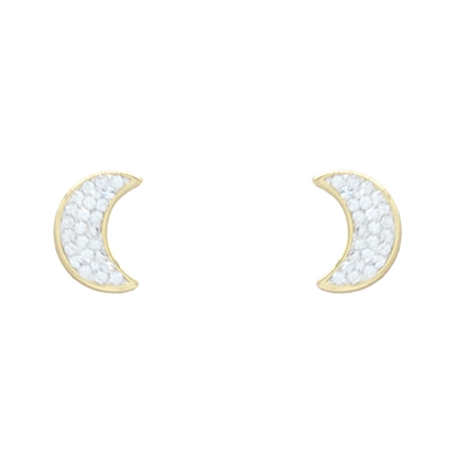 Picture of Stargazing Shimmer - Moon