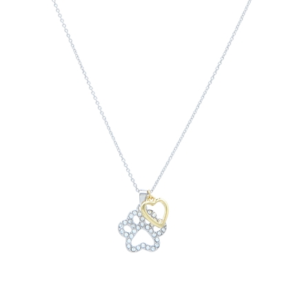 Picture of A Pet's Love