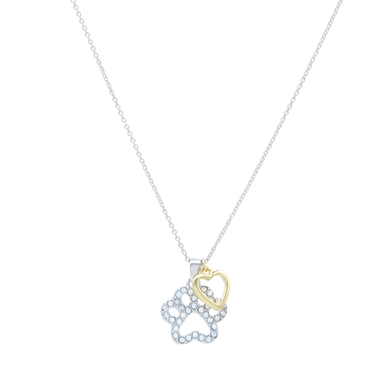 Picture of A Pet's Love