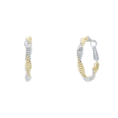 Picture of Pretty Curves