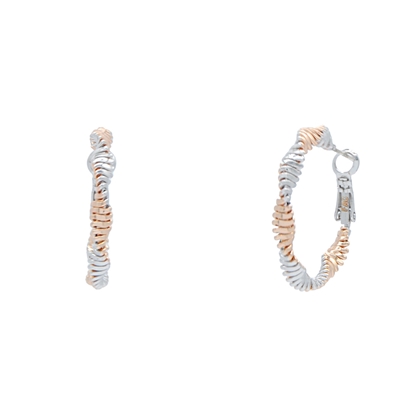 Picture of Pretty Curves