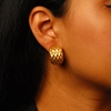 Picture of Textured Curves