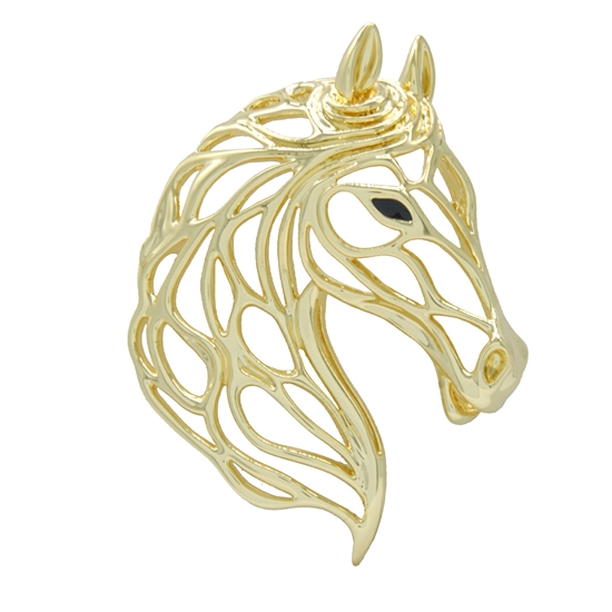 Picture of Brilliant Stallion