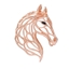 Picture of Brilliant Stallion
