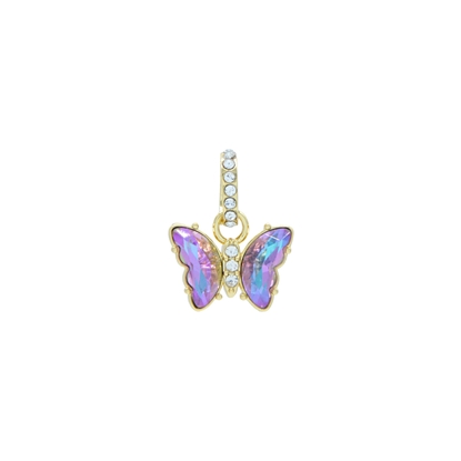 Picture of FAC Cares Charm - June 26