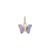 Picture of FAC Cares Charm - June 26