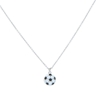 Picture of Soccer Star