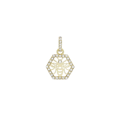 Picture of FAC Cares Charm - July 26