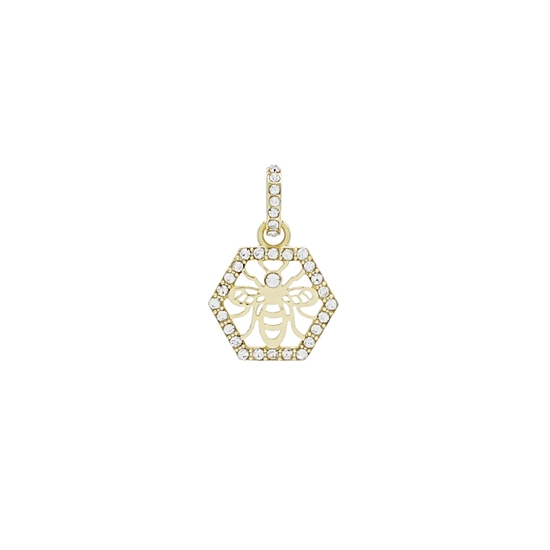Picture of FAC Cares Charm - July 26