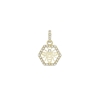 Picture of FAC Cares Charm - July 26