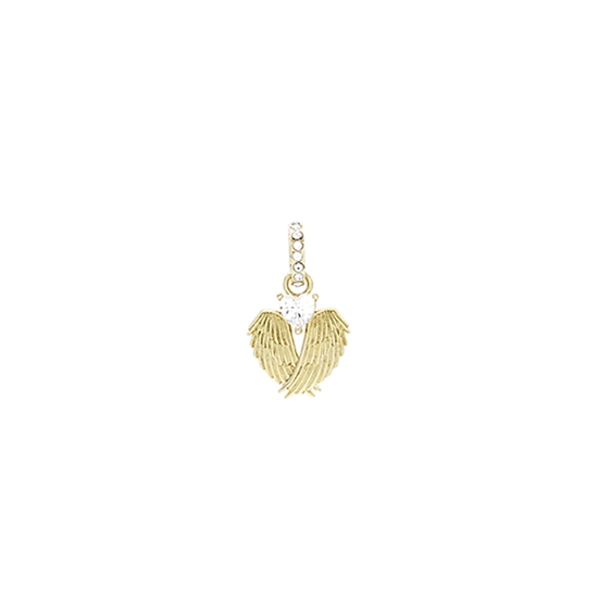 Picture of FAC Cares Charm - Aug 26