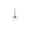 Picture of FAC Cares Charm - Sept 26