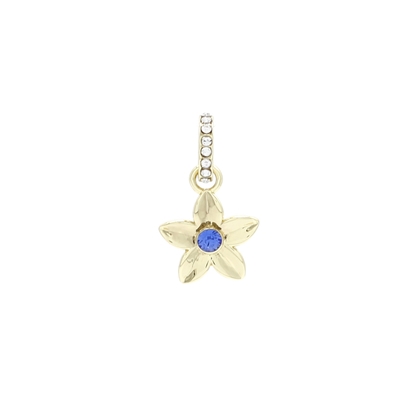 Picture of FAC Cares Charm - Sept 26