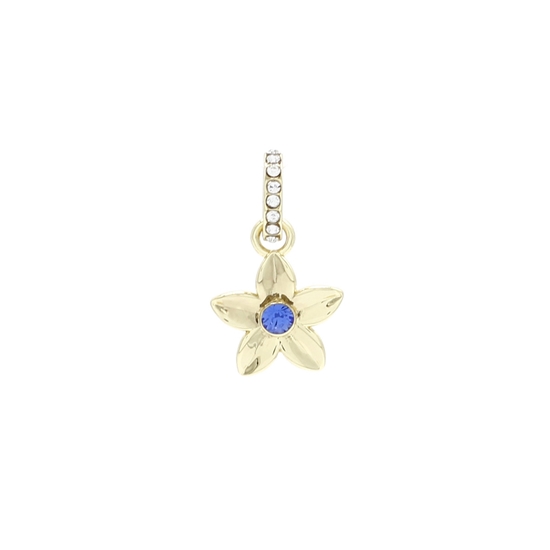 Picture of FAC Cares Charm - Sept 26