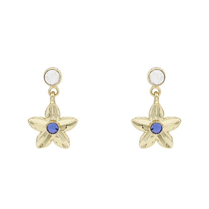 Picture of Dainty Forget Me Not