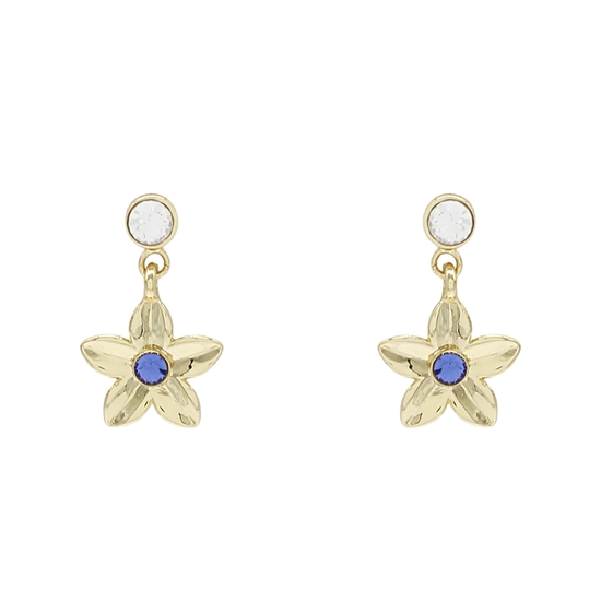 Picture of Dainty Forget Me Not
