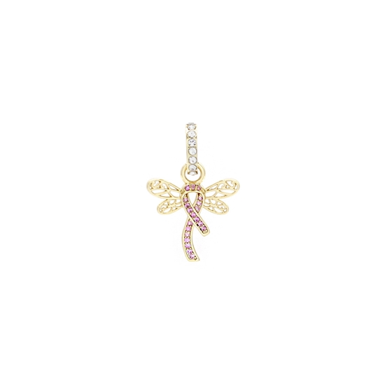 Picture of FAC Cares Charm - Oct 26
